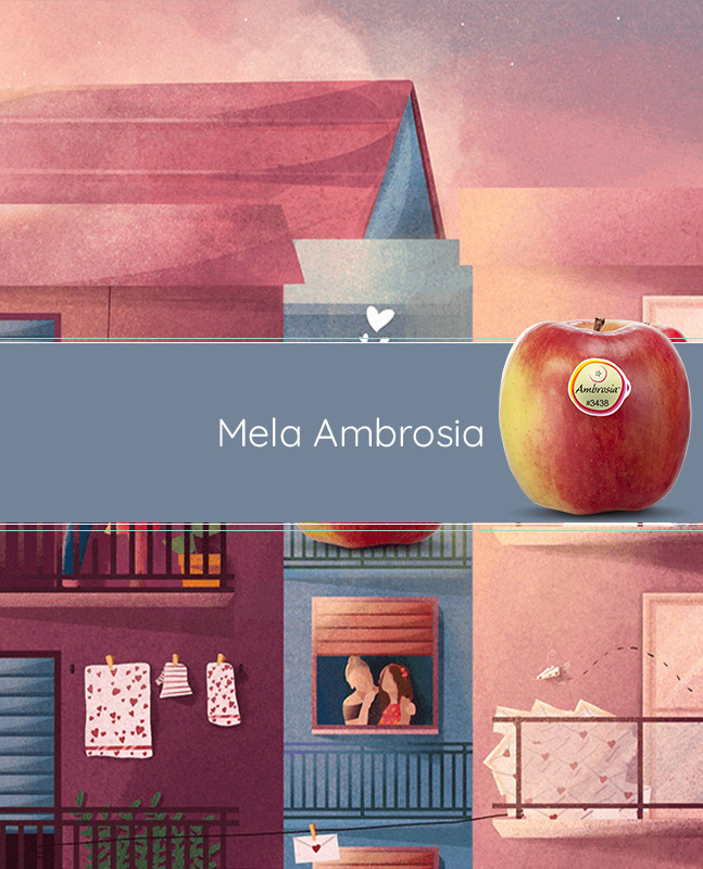 Mela Ambrosia