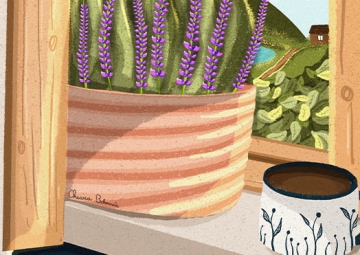 The power of illustration